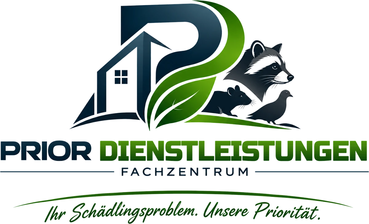 Prior Dienstleistungen | Fachzentrum
